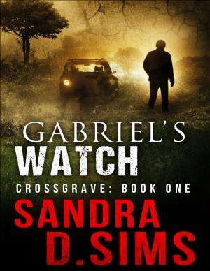 Cover of the book Gabriel's Watch - Crossgrave: Book One by Brea Behn