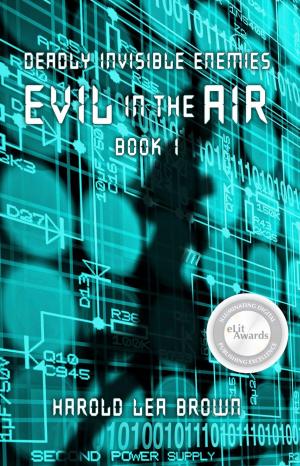 Book cover of Deadly Invisible Enemies: Evil in the Air