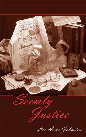Cover of the book Seemly Justice by Allen J Johnston