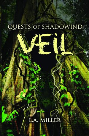 bigCover of the book Veil by 