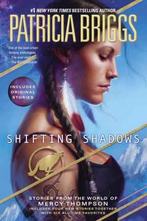 Cover of the book Shifting Shadows by Paul Christopher