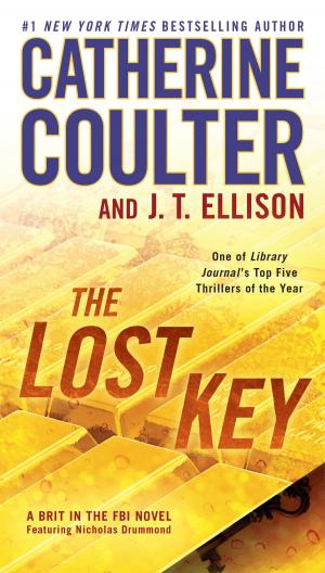 Cover of the book The Lost Key by John A. Elefteriades, MD