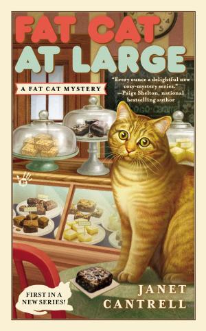 Cover of the book Fat Cat At Large by Richard Lockridge
