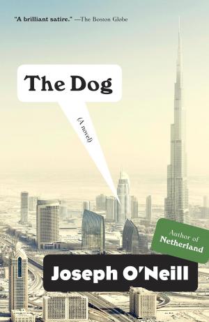 bigCover of the book The Dog by 