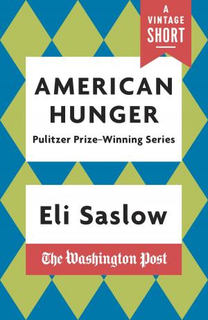 Cover of the book American Hunger by Mary Jo Salter
