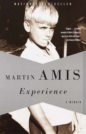 Cover of the book Experience by Daniel Kehlmann