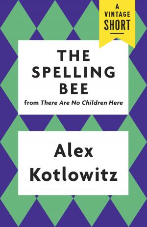 Cover of the book The Spelling Bee by Bonnie Mutchler