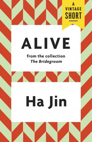 Cover of the book Alive by Jackie Wullschlager