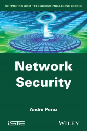 Cover of the book Network Security by Wilhelm W. Kecs, Antonela Toma, Petre Teodorescu