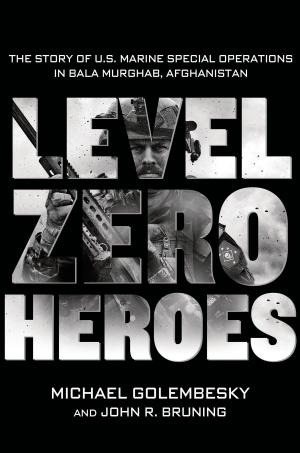 Cover of the book Level Zero Heroes by Heidi Minx