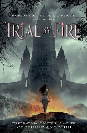 Cover of the book Trial by Fire by Catherynne M. Valente