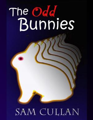 Cover of the book The Odd Bunnies by Kimberly Vogel