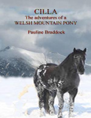 Cover of the book Cilla: The Adventures of a Welsh Mountain Pony by Scott Anderson