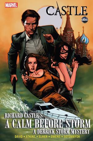Cover of the book Castle Calm Before Storm by Jonathan Hickman