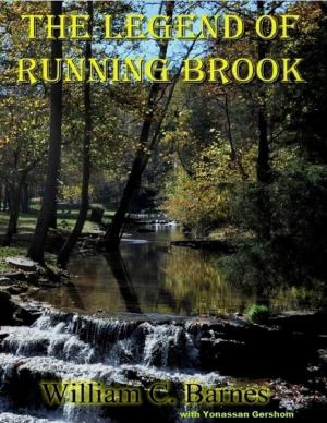 Book cover of The Legend of Running Brook