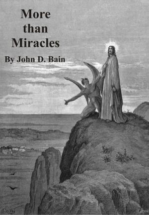 Cover of the book More than Miracles by Maria Yiangou