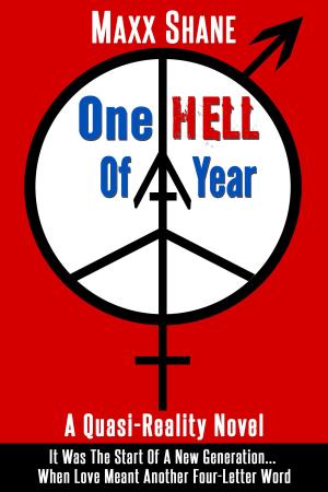 Cover of the book One Hell of a Year by Ruth M. Fuchs