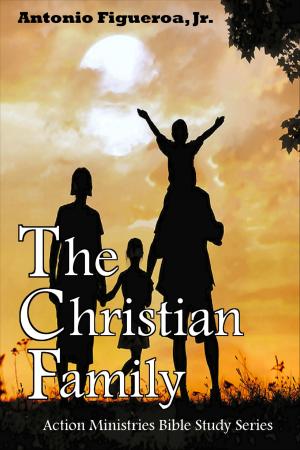 Cover of the book The Christian Family by ICB Editores