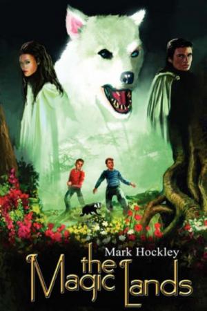 Cover of the book The Magic Lands by S. Thorndyke