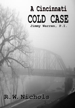 Book cover of A Cincinnati Cold Case