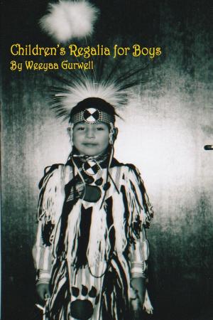 Book cover of Children's Regalia for Boys