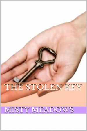 Cover of the book The Stolen Key (Femdom, Chastity) by Misty Meadows