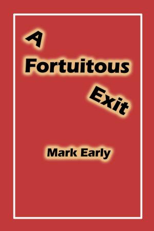 Cover of the book A Fortuitous Exit by Dan McMartin