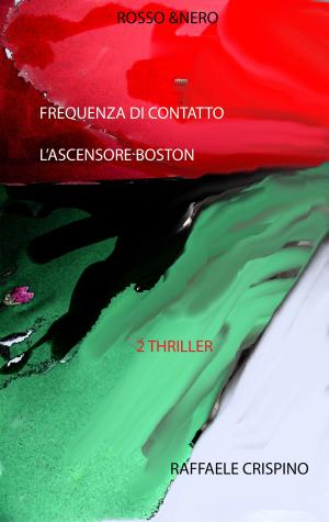 bigCover of the book Rosso & Nero by 