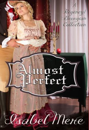 Cover of the book Almost Perfect by Annette Louise
