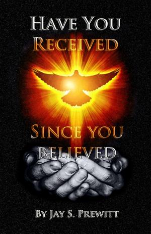 Book cover of Have You Received Since You Believed?