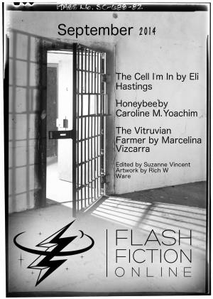 Book cover of Flash Fiction Online: September 2014