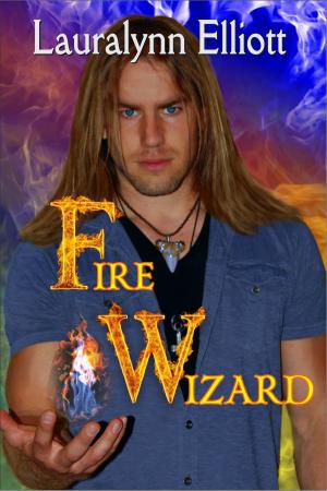 Cover of the book Fire Wizard by Lauralynn Elliott