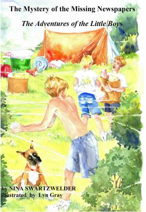 Cover of the book The Mystery of the Missing Newspapers The Adventures of the Little Boys by Joy DeKok
