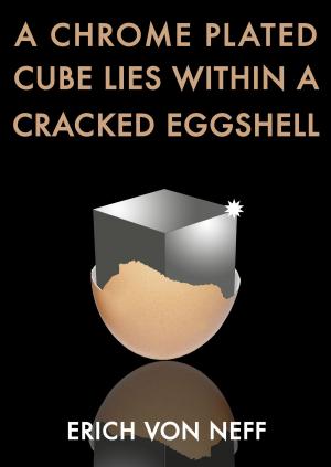 bigCover of the book A Chrome Plated Cube Lies Within a Cracked Eggshell by 