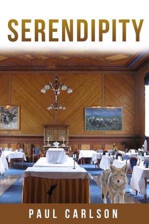 Cover of the book Serendipity by Kimberly Lewis
