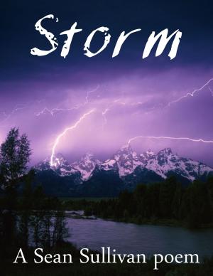Cover of the book Storm by Sean Sullivan