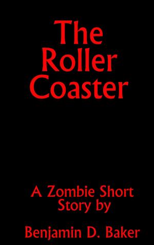 Cover of the book The Roller Coaster by Denise M. Baran-Unland