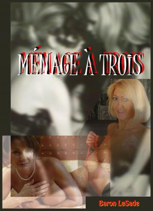 Cover of the book Ménage À Trois by Lord Koga