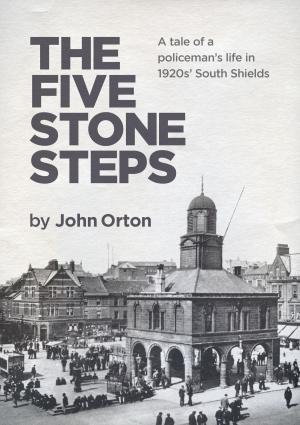 Book cover of The Five Stone Steps