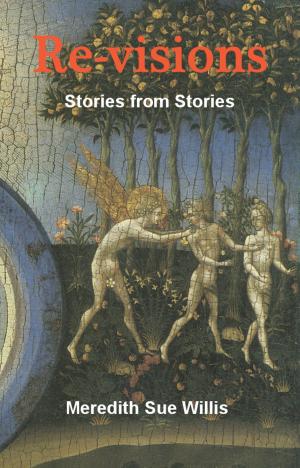 Book cover of Re-visions: Stories from Stories