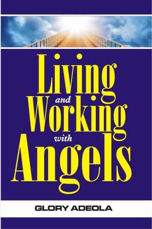 Book cover of Living and Working with Angels