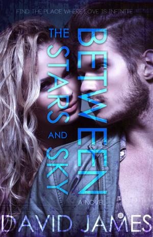 Book cover of Between the Stars and Sky