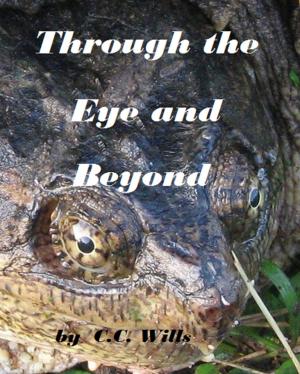 Cover of the book Through the Eye and Beyond by C.C. Wills