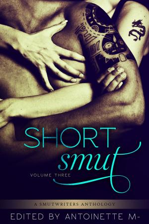 Cover of the book Short Smut, Vol. 3 by Michelle Geroux