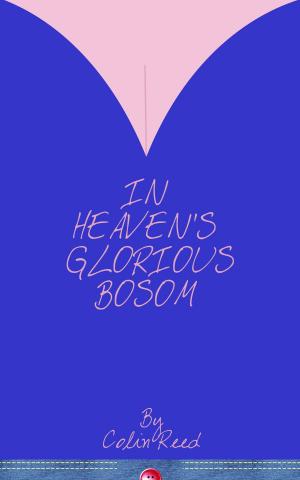 Cover of the book In Heaven's Glorious Bosom by Josh Brown, K. N. Porter, Kurt Wilcken, Nate Barlow, Gina Wood, Michael May, Alex Ness, Joseph M Monks, Marc N. Kleinhenz
