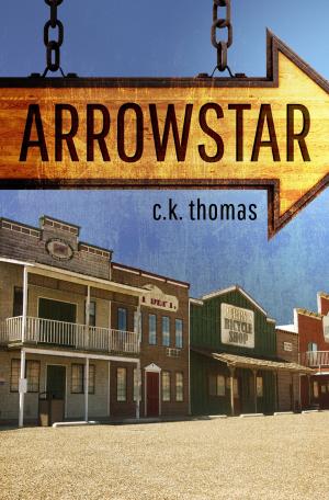 Book cover of Arrowstar