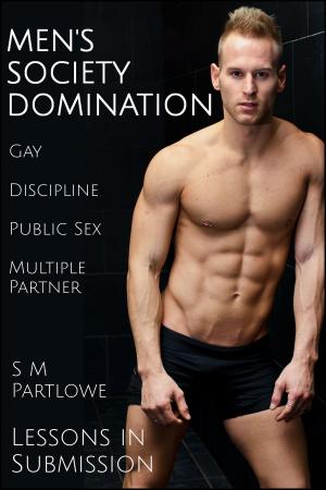 Cover of the book Lessons in Submission: Men's Society Domination (Gay, Discipline, Public Sex, Multiple Partner) by S M Partlowe