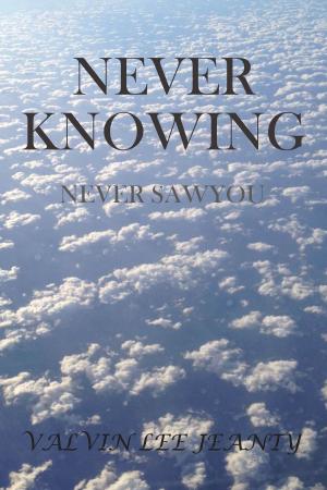 bigCover of the book Never Knowing: Never Saw You by 