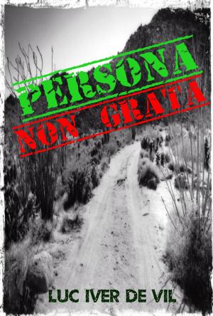 Cover of the book Persona Non Grata by M.M. Brownlow