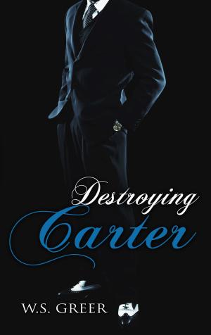 Book cover of Destroying Carter (The Carter Series #3)
